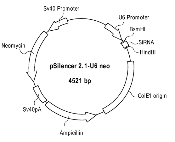 ZK558pSilencer 2.1-U6-Neo.png