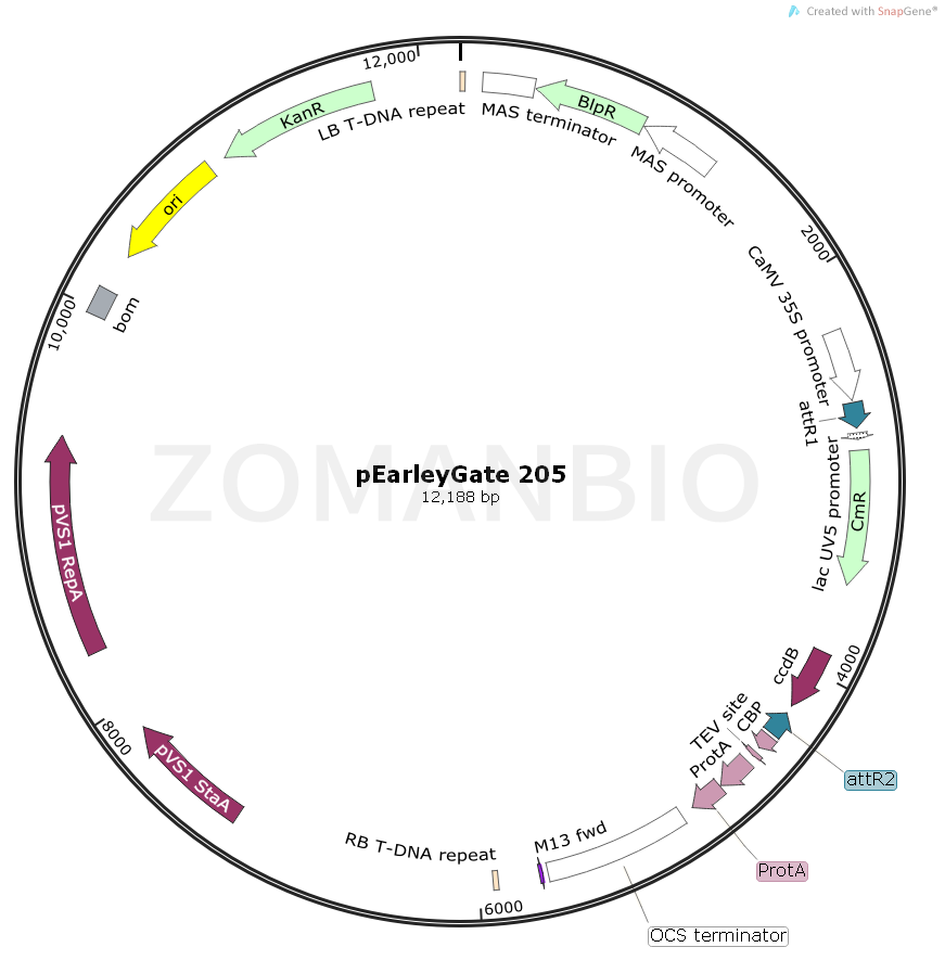 ZK882pEarleyGate 205.png