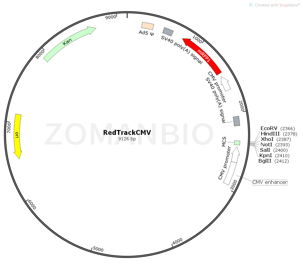 ZK1823 RedTrackCMV.png