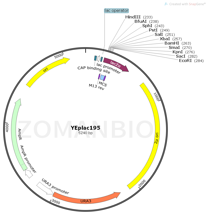 ZK1858 YEplac195.png