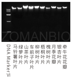 23 ZP309K圖2.jpg