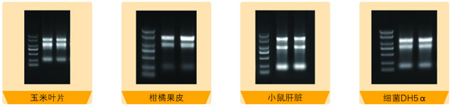 17.3月促銷(xiāo)總RNA試劑盒圖.jpg